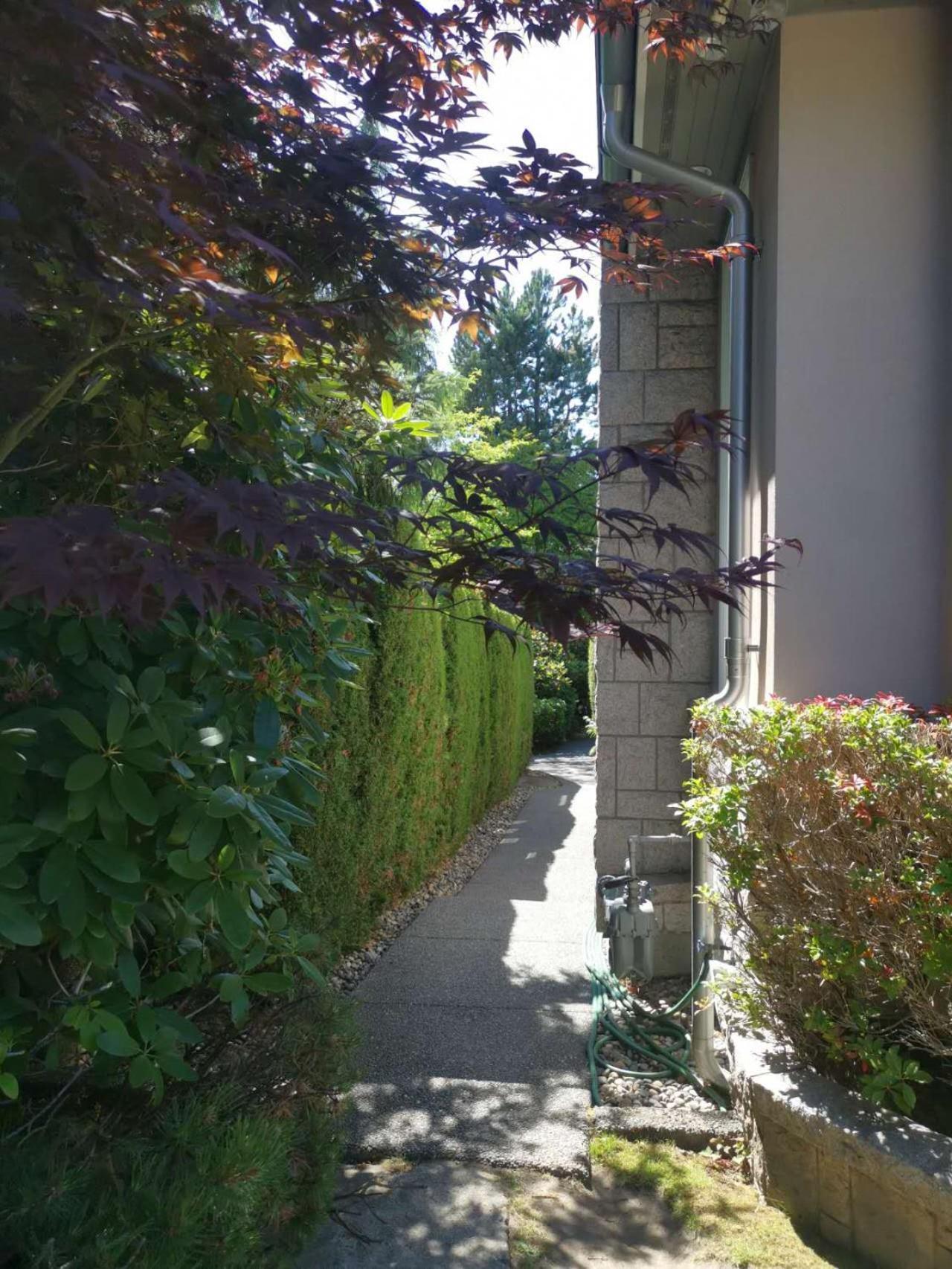 Nest Near Yvr Ubc Downtown Homestay Vancouver