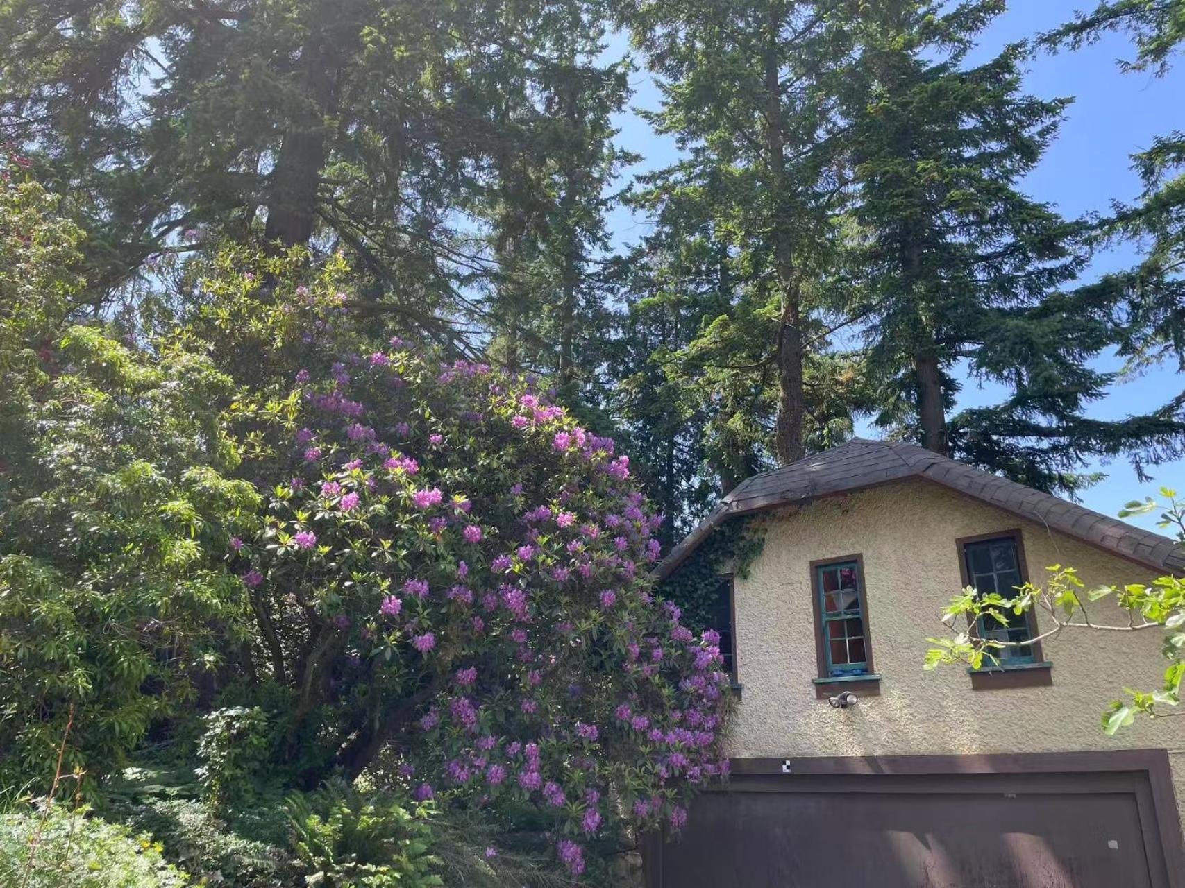 Vancouver West Ocean View Villa
