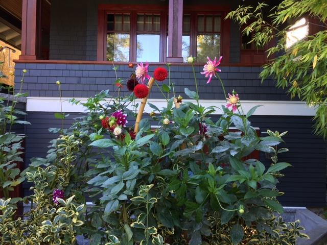 Apartment Beautiful, Quiet 3br In Posh Kitsilano *