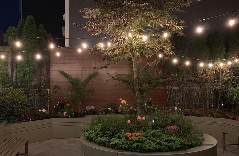 Hotel Western Uptown 3*