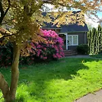 Payman\'S Home