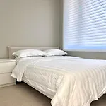 Brand New Modern Laneway House