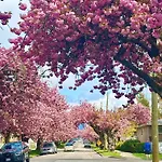 Vancouver\'S Homey Laneway House