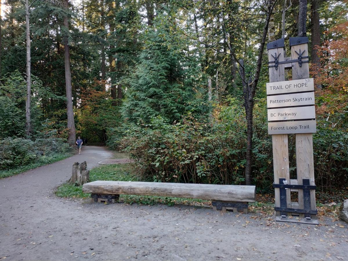 Gasthof Private W King Bed, Ground Level, Naturally Bright