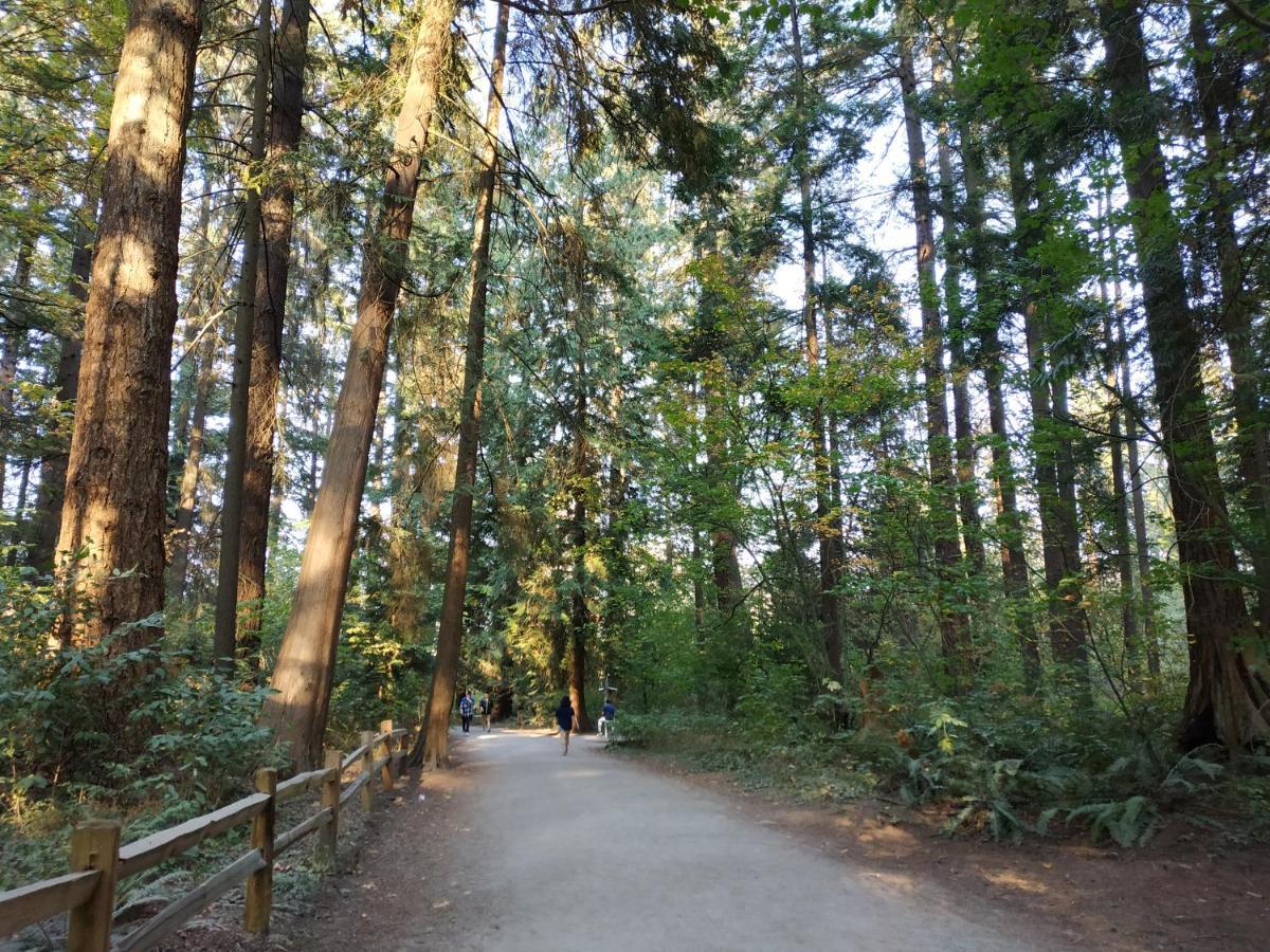 Private W King Bed, Ground Level, Naturally Bright * Vancouver