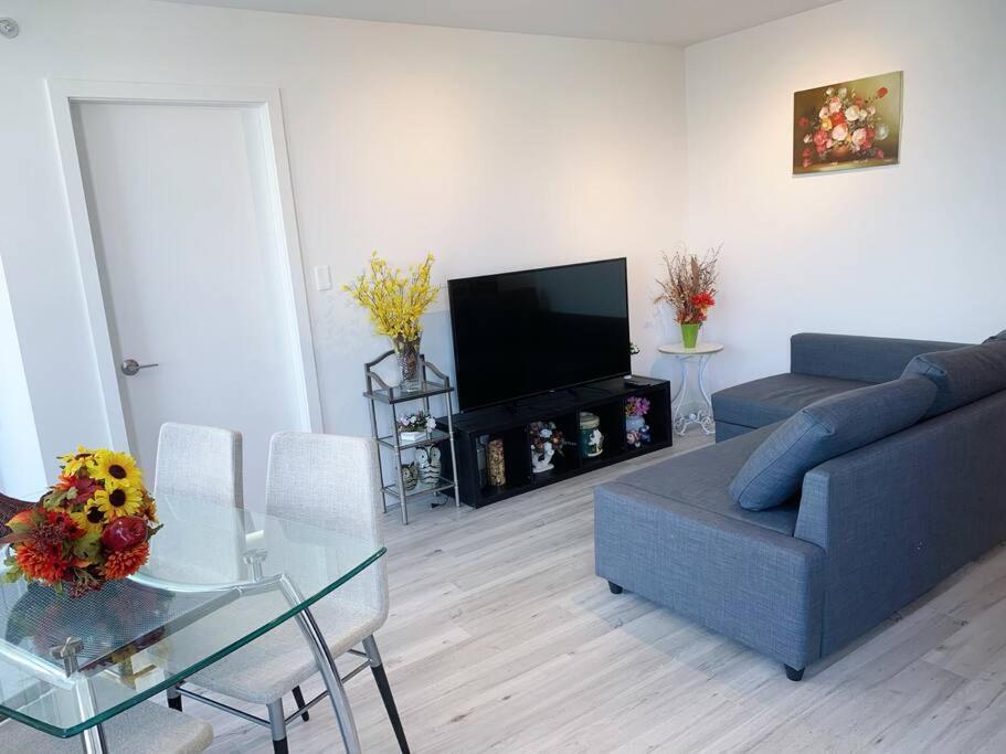 Apartment Downtown 3br/2ba+views+skytrain+free Parking *