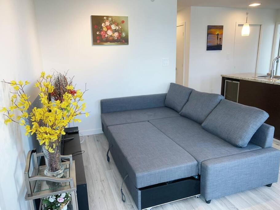 Downtown 3br/2ba+views+skytrain+free Parking Vancouver