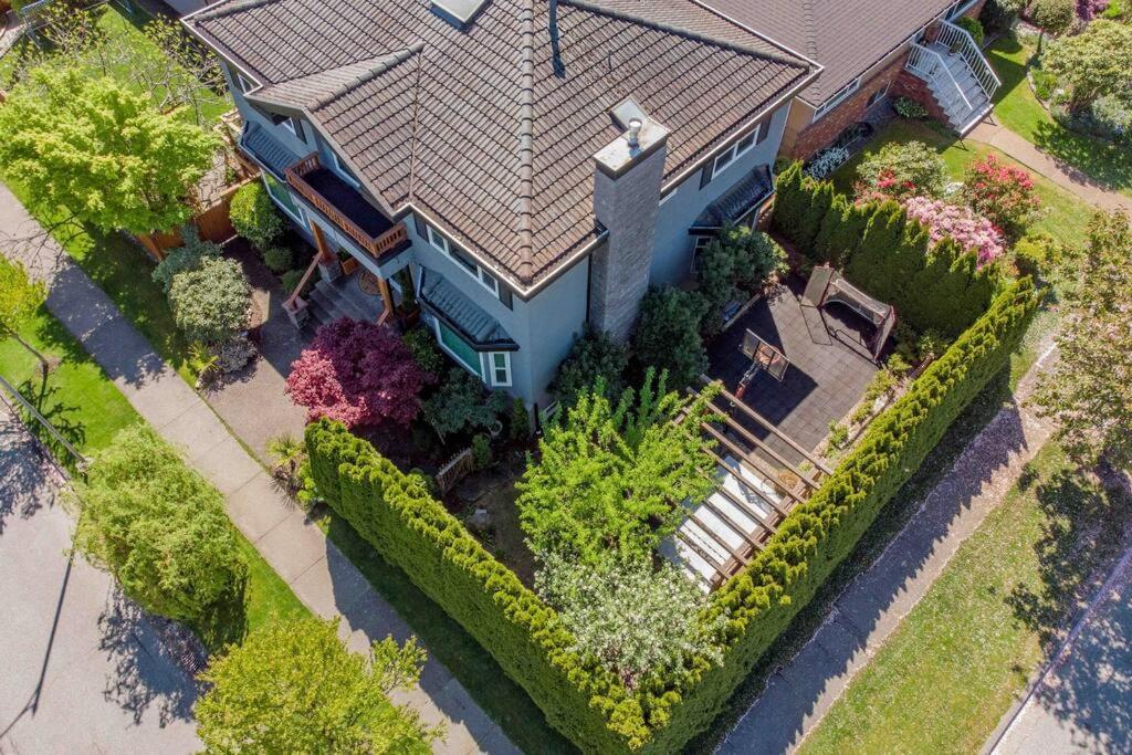 Corkscrew Willow Estate *