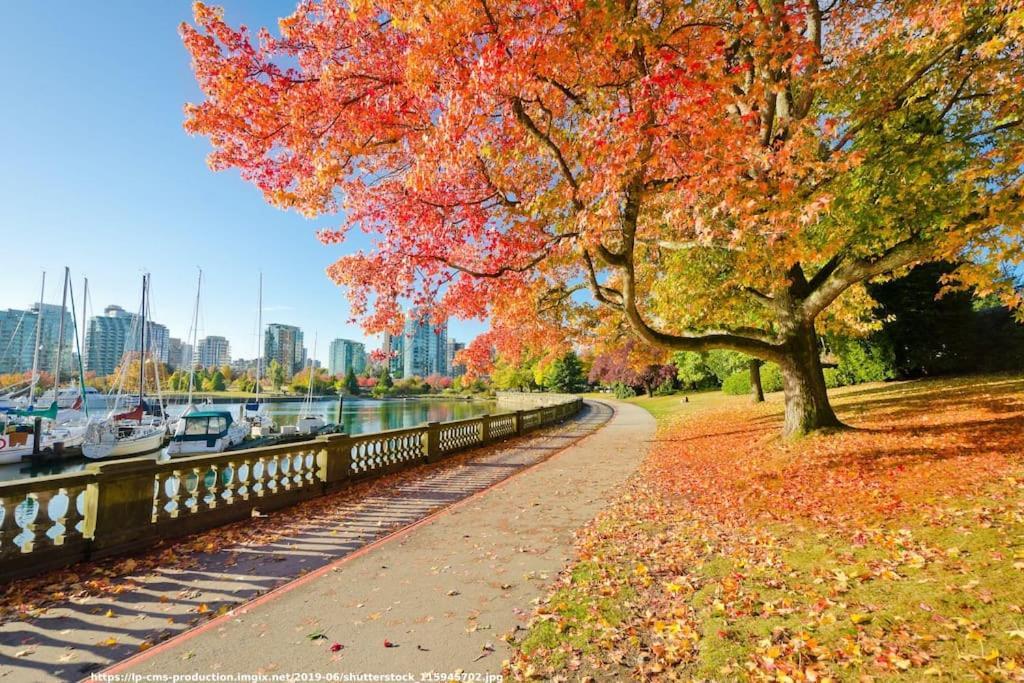 Van West Serene Retreat Close To Ubc And Downtown * Vancouver
