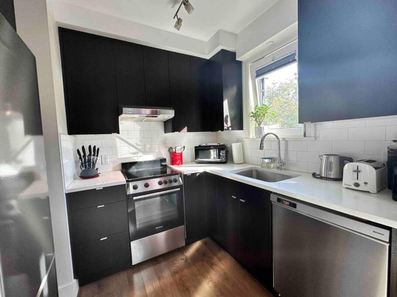 Vineyard Vibes On Happening Commercial Drive Apartment