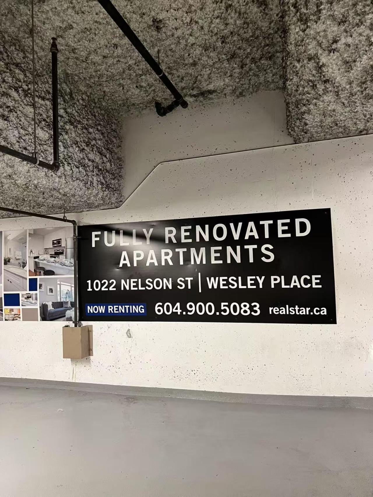 Apartment A Gentle Hideaway In The Urban Forest West End Downtown *