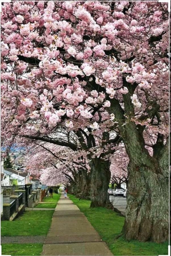 Dunbar * Vancouver