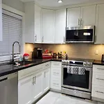 New Urban Modern Main Street House