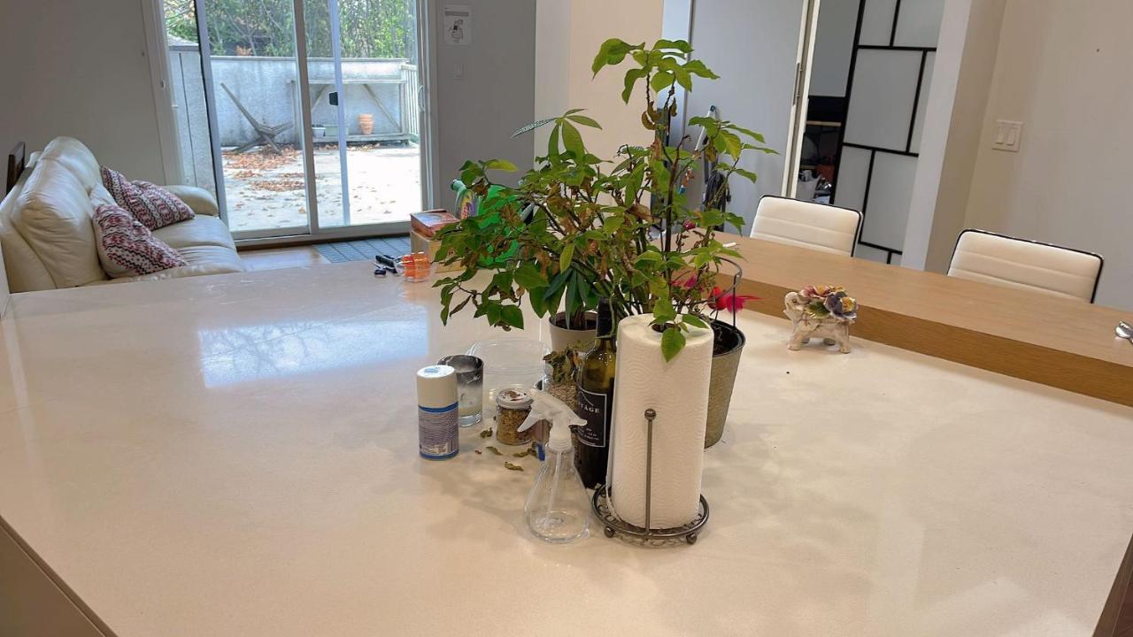 Villa 5 Mins Walk To Skytrain Station Vancouver