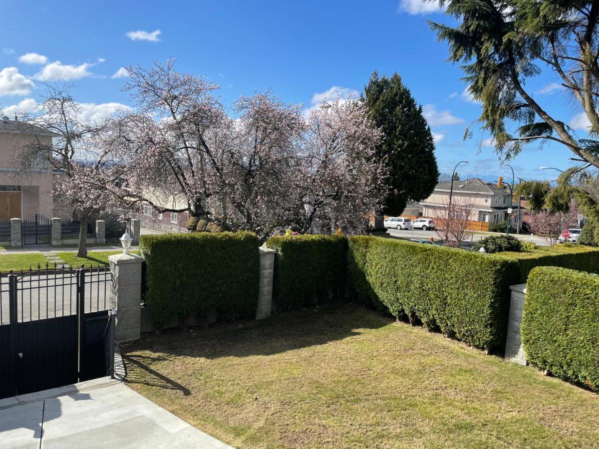 Adorable 2-bedroom Basement In *