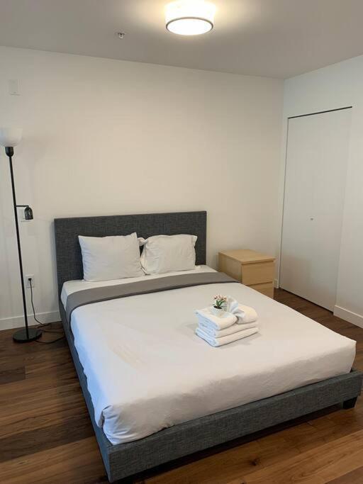 Explore Qe Park From Luxury Studio Apartment
