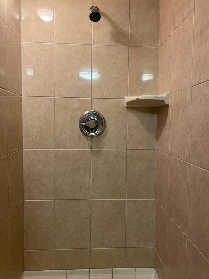 Kingston Hotel 3*