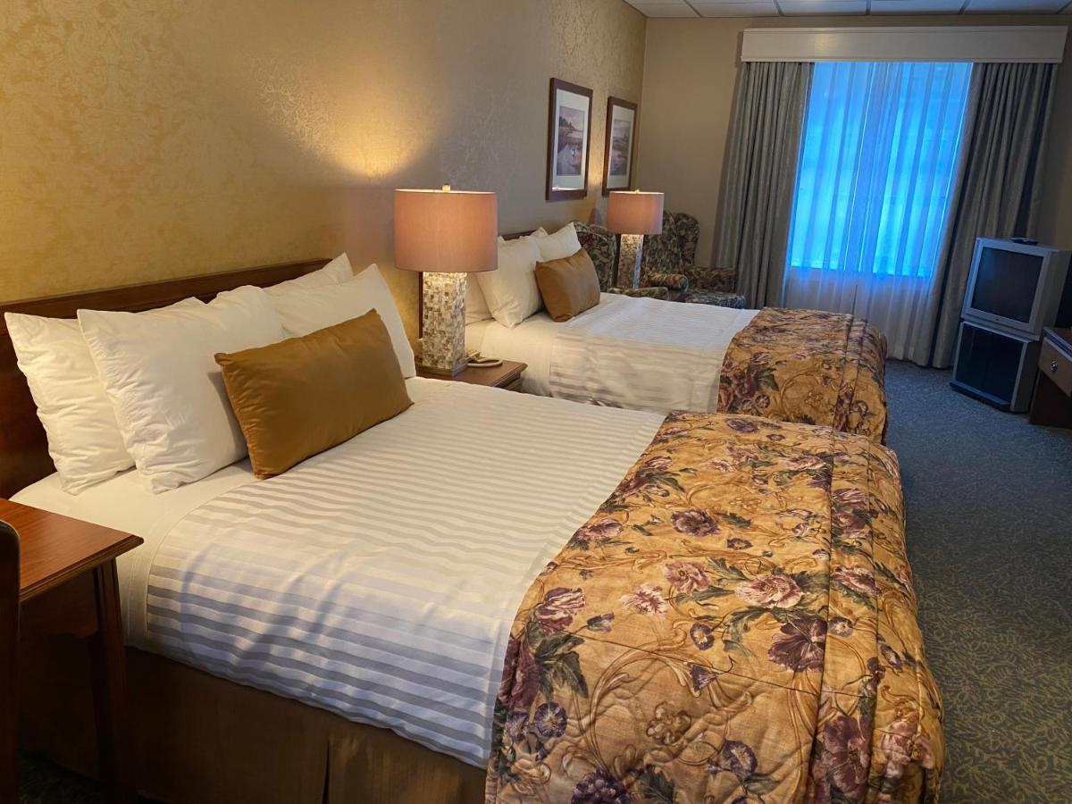 Hotel Kingston 3*