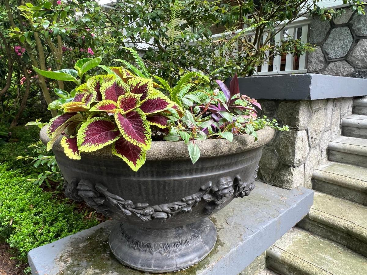 Aristocrathomestay Privatunterkunft Vancouver