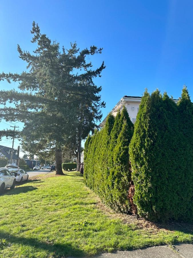 Sixpine - 2 Bedroom Apartment
