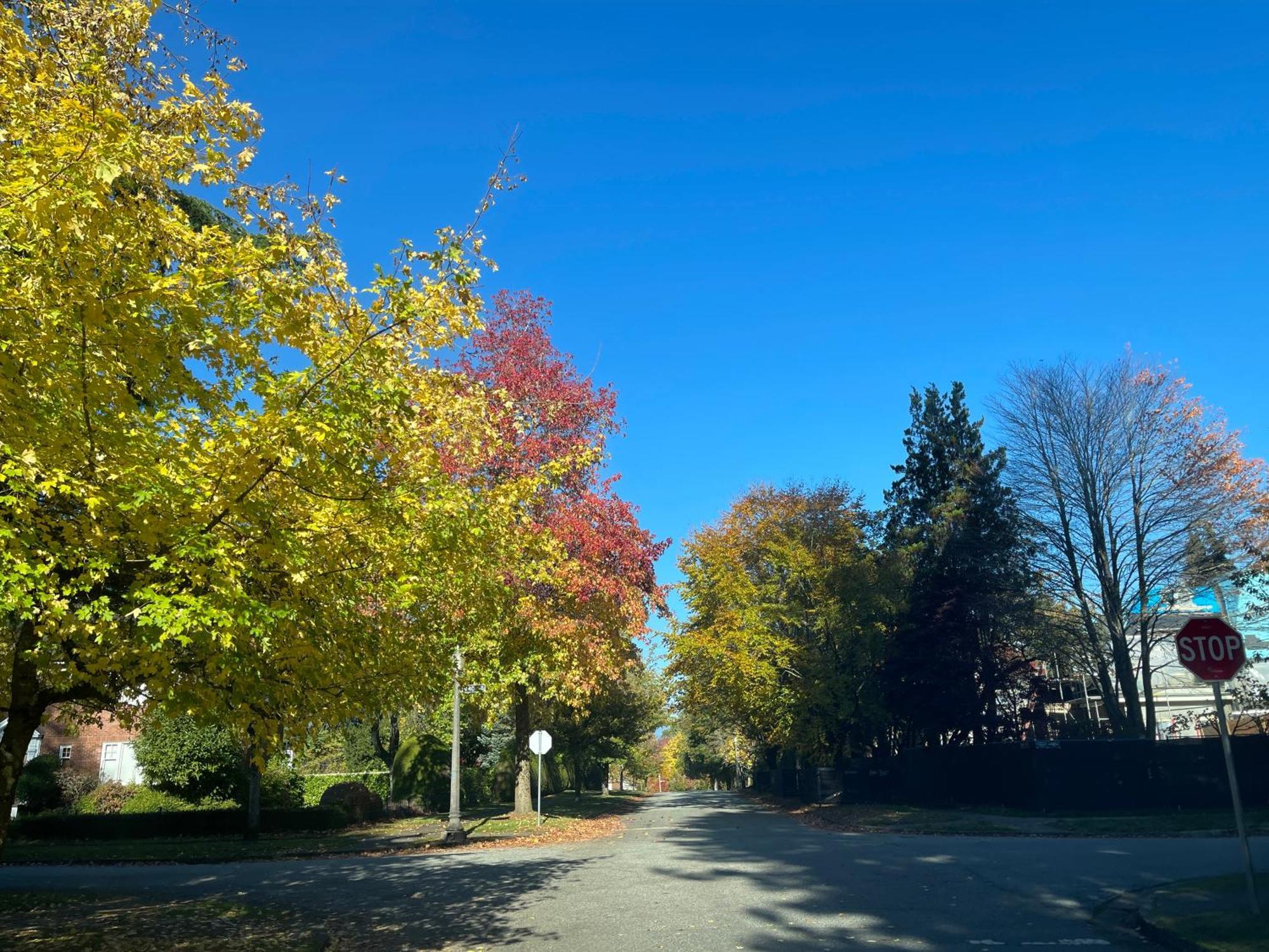 Campus Haven Privatunterkunft Vancouver