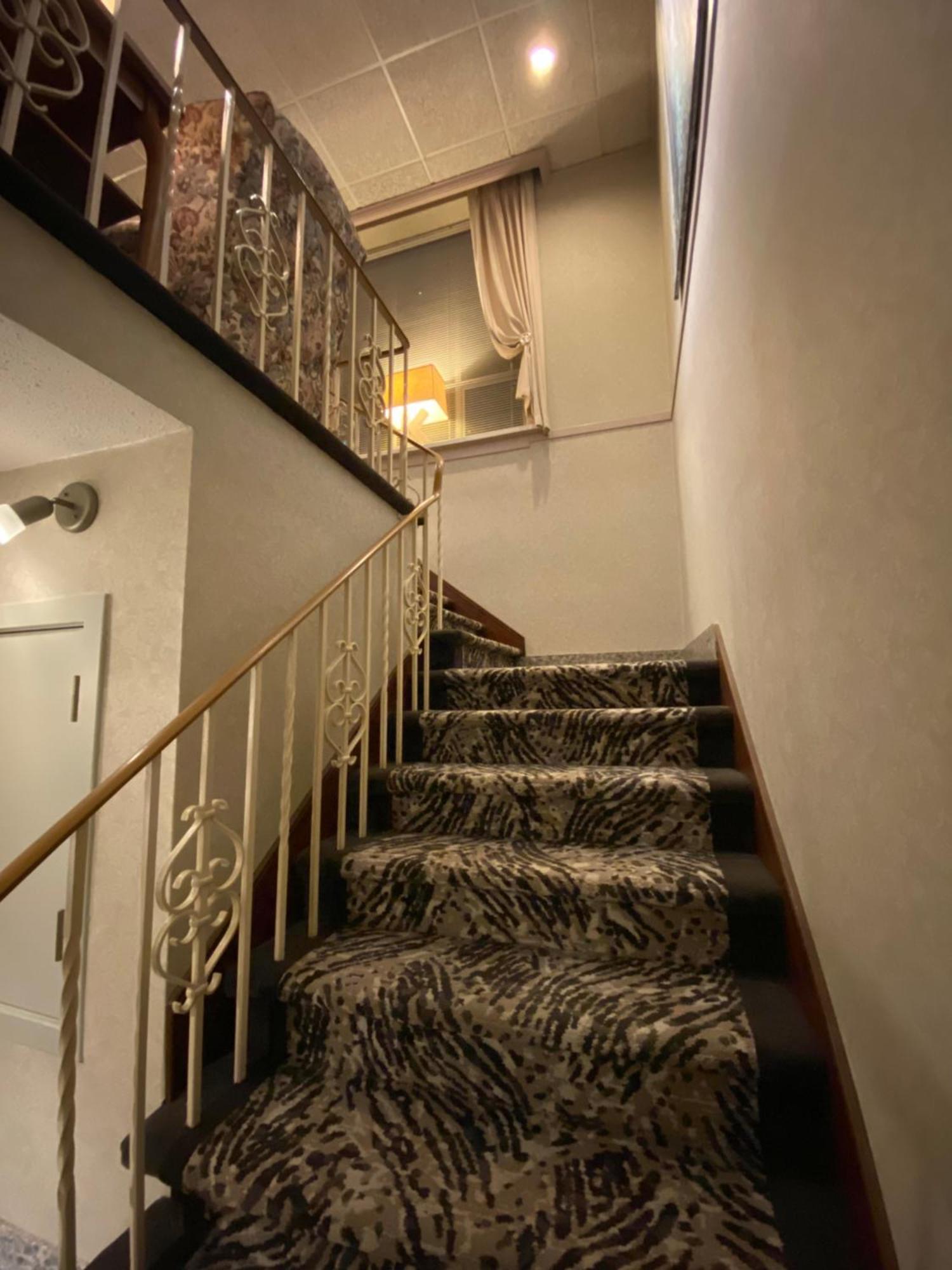 Kingston Hotel 3*