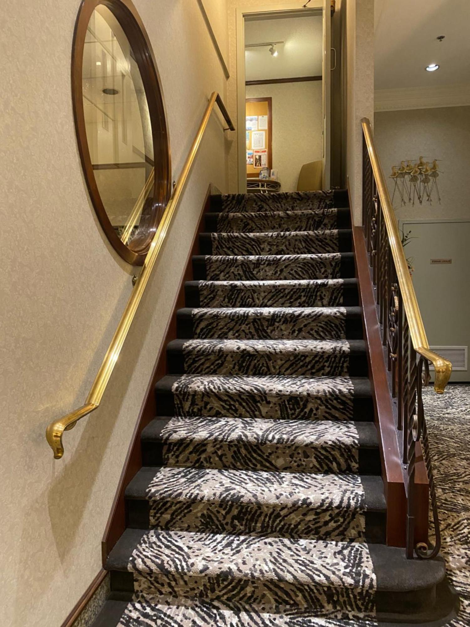 Hotel Kingston 3*