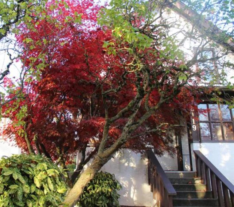 John's House In West