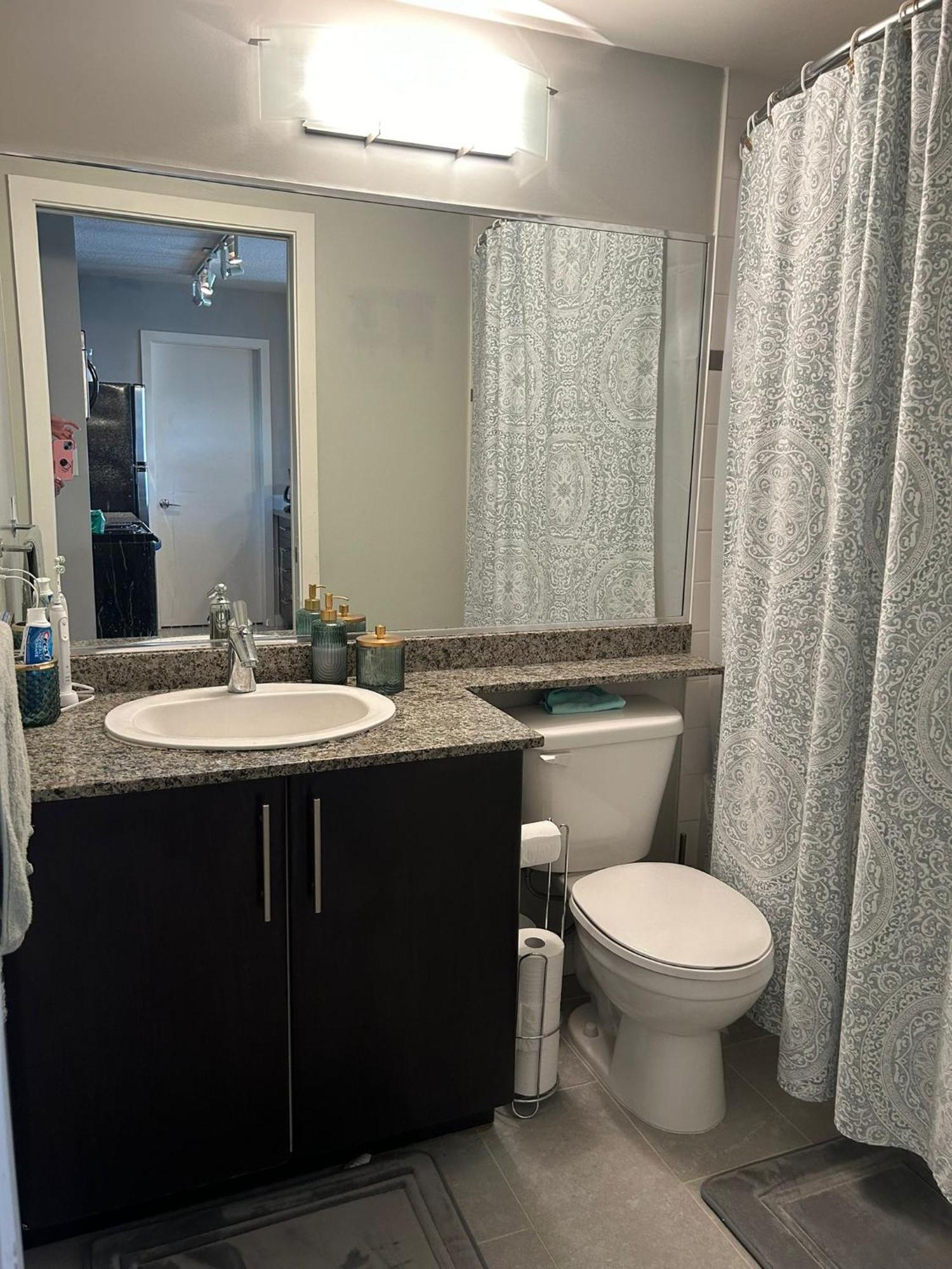 Urban Oasis In Downtown 1 Bed 1 Bath Apartment Vancouver