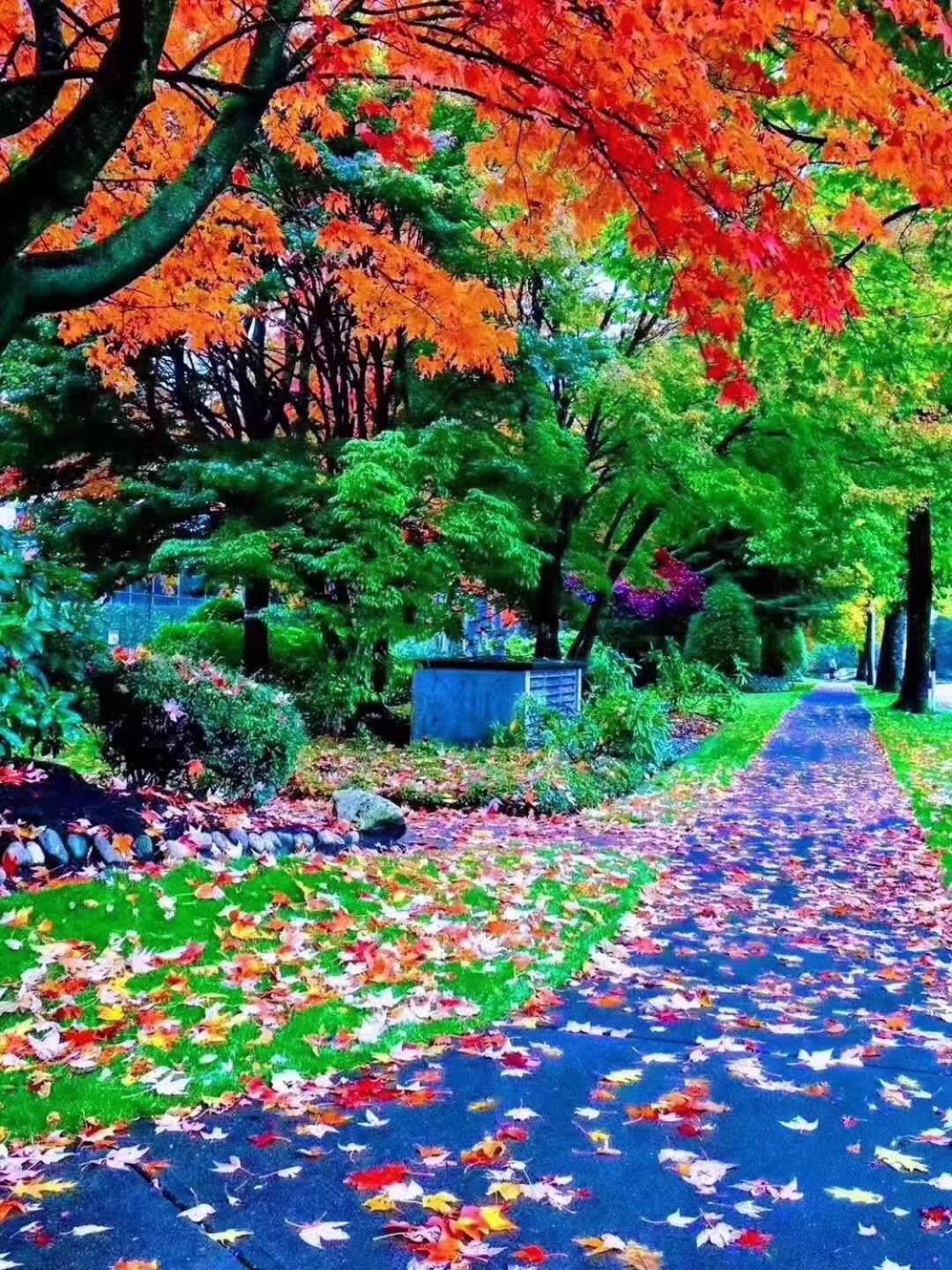 7 Bedrooms In The Heart Of * Vancouver