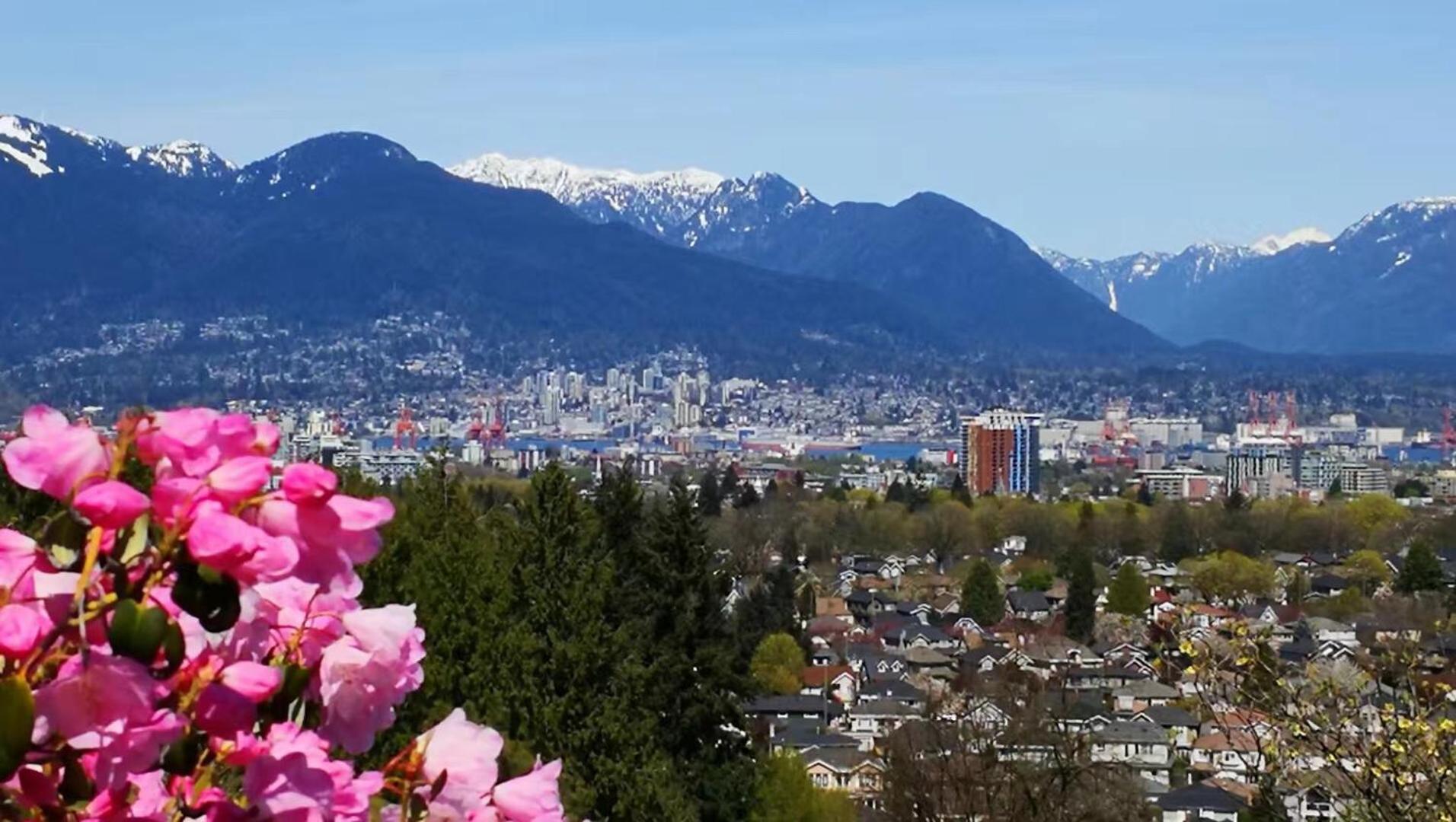 7 Bedrooms In The Heart Of Hotel Vancouver