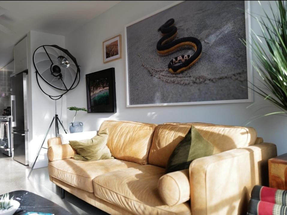 Modern, Bright 2 Bedroom In Historic Chinatown, Downtown Apartment *