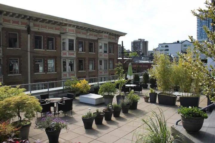 Vacation Downtown Apartment
