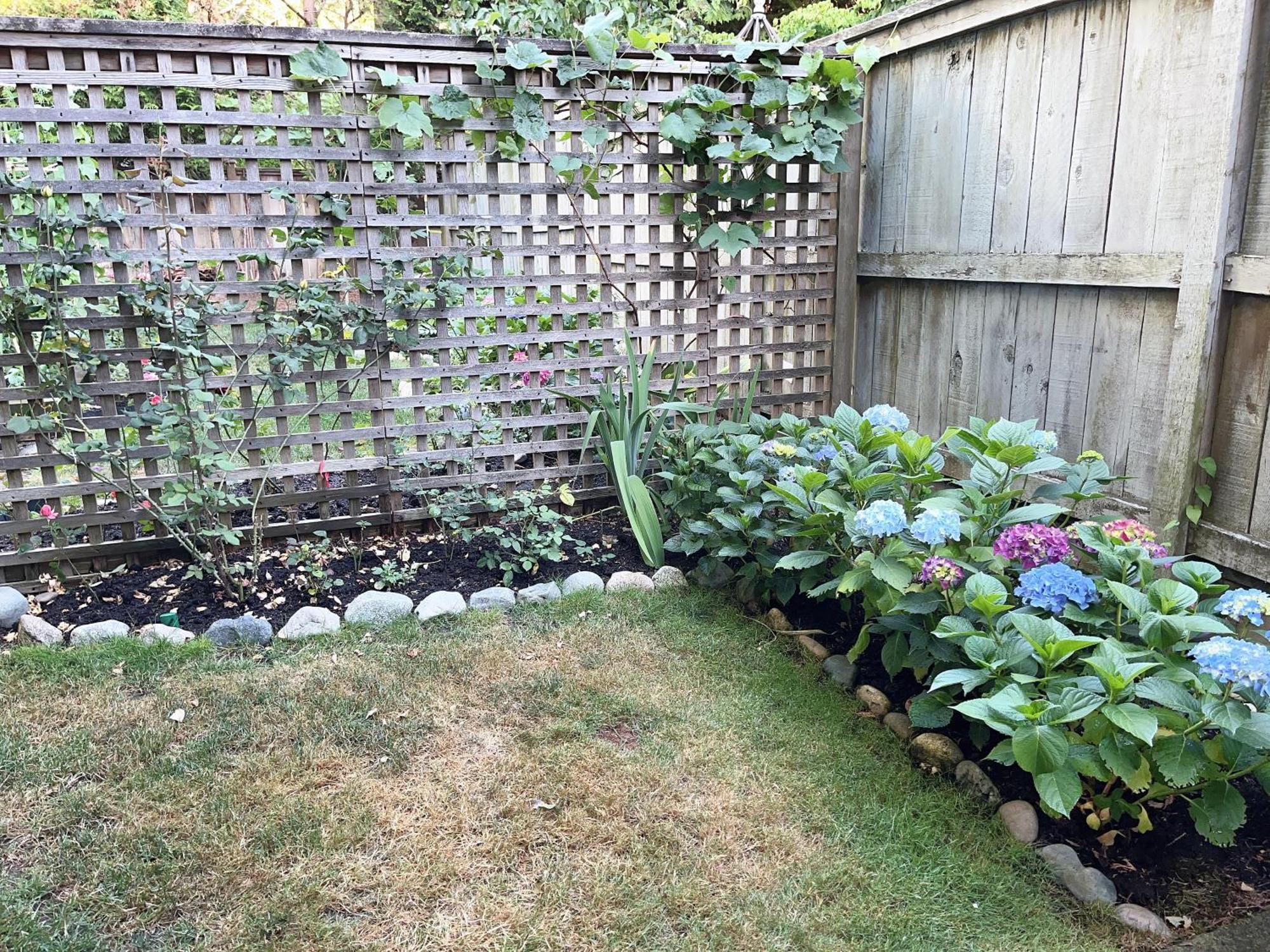 Homestay House In Kerrisdale