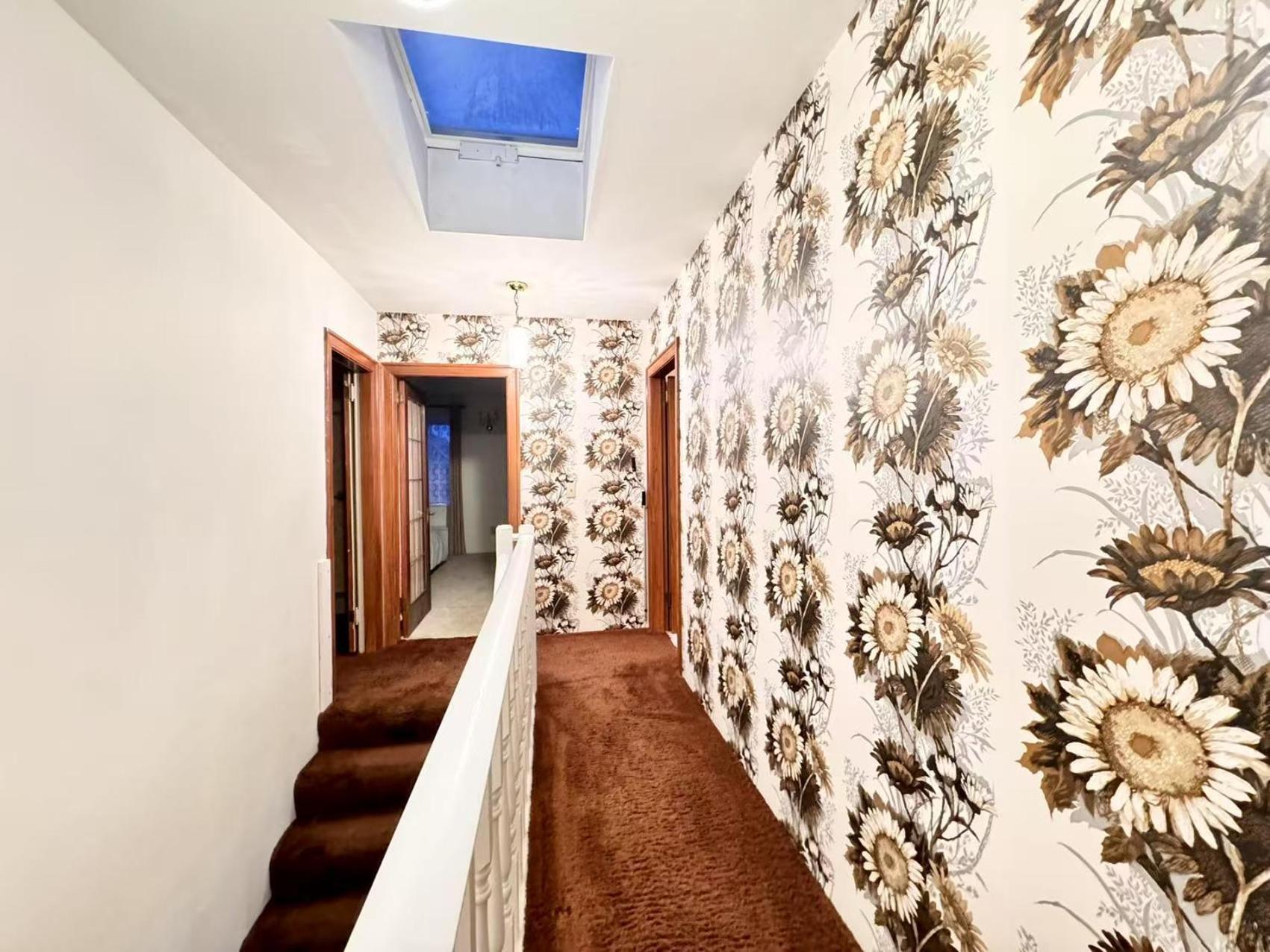 Cozy Shared In Guest house