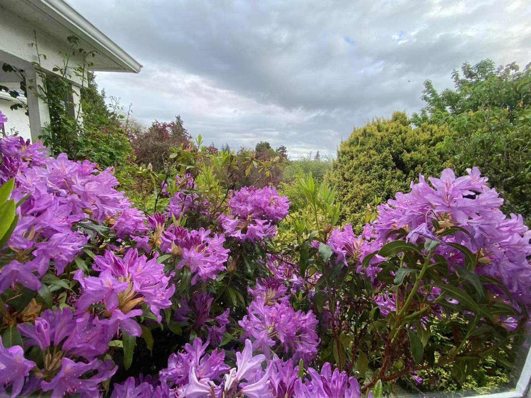 Homestay Bright & Cozy Dunbar Close To Ubc Vancouver