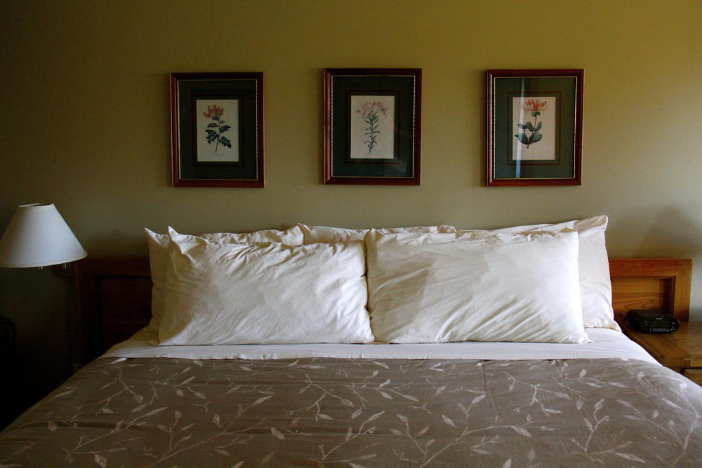 Hotel Edgewater Vancouver