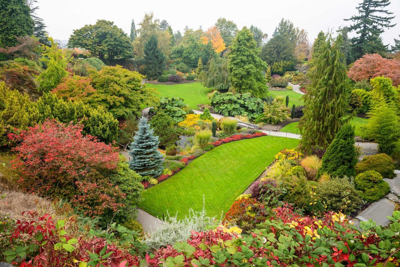 The Manor Guest house 3*
