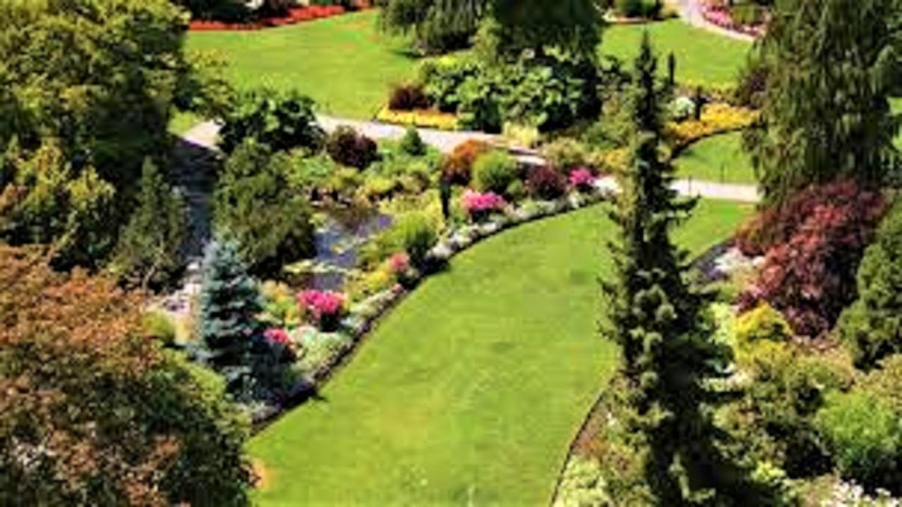 Shiny Queen Elizabeth Guest house *
