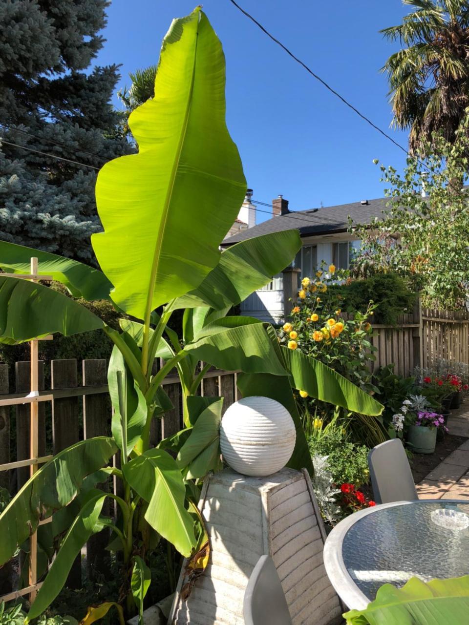 Gasthof Cozy Bedrooms Vancouver