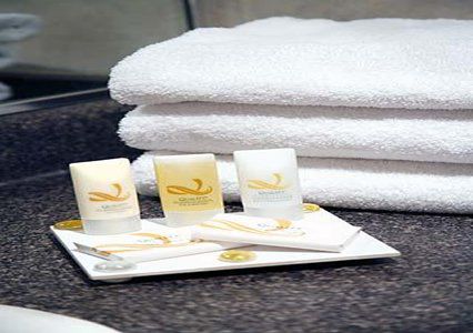 Quality Downtown-inn At False Creek 3*