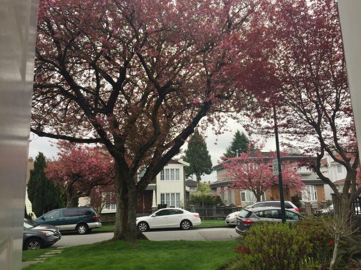 Privatunterkunft Lee Vancouver