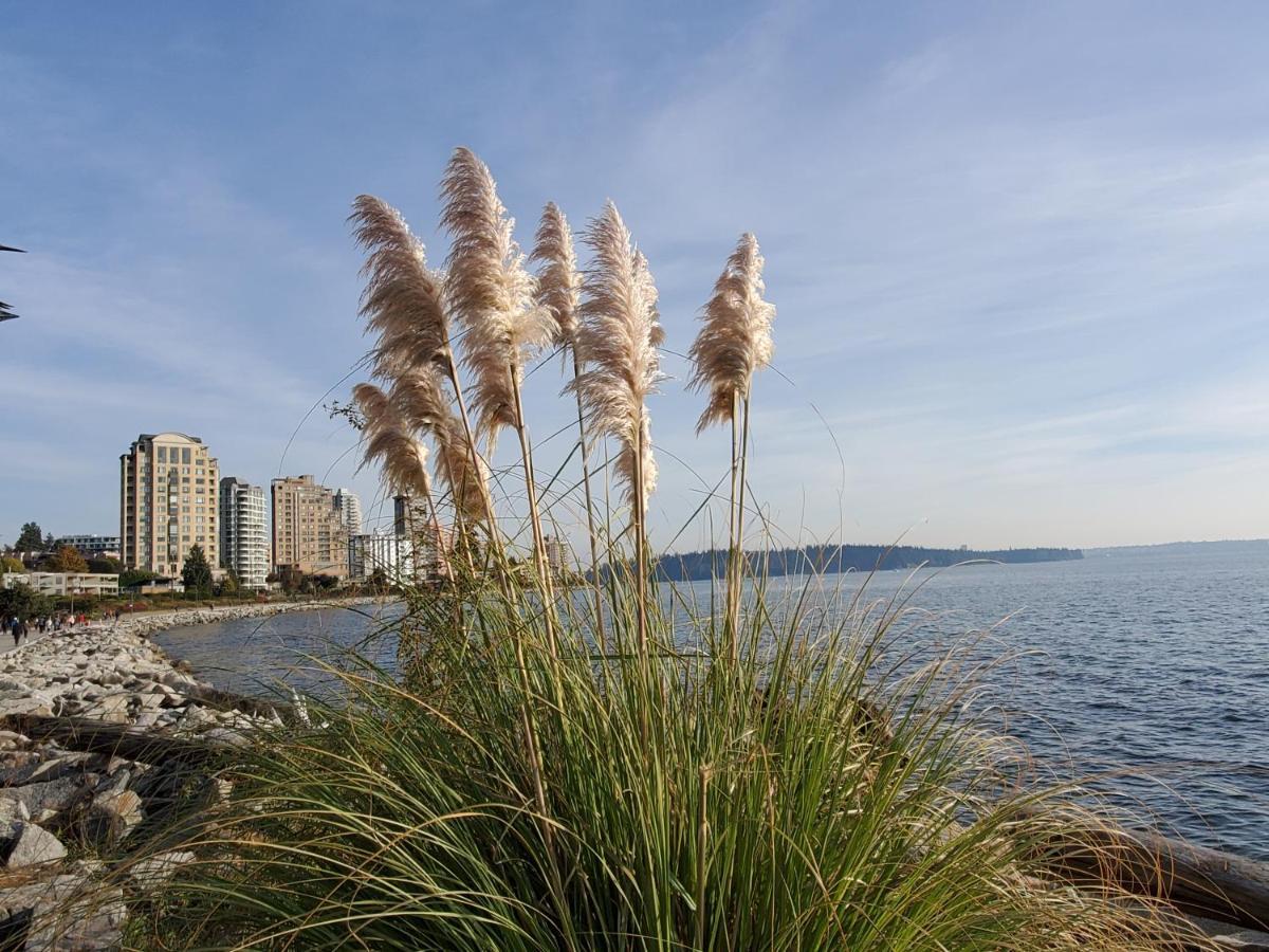 Your Alternative To A Five Star Hotel - Premium Location * Vancouver