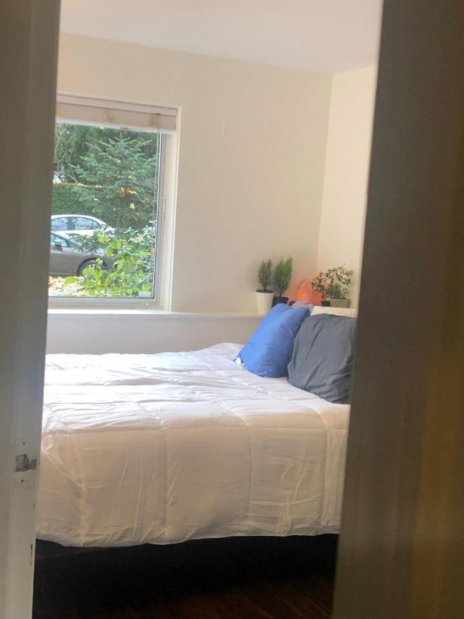 Quiet-comfy 3 Bedroom On A Tree Lined Street In Kits Holiday home *