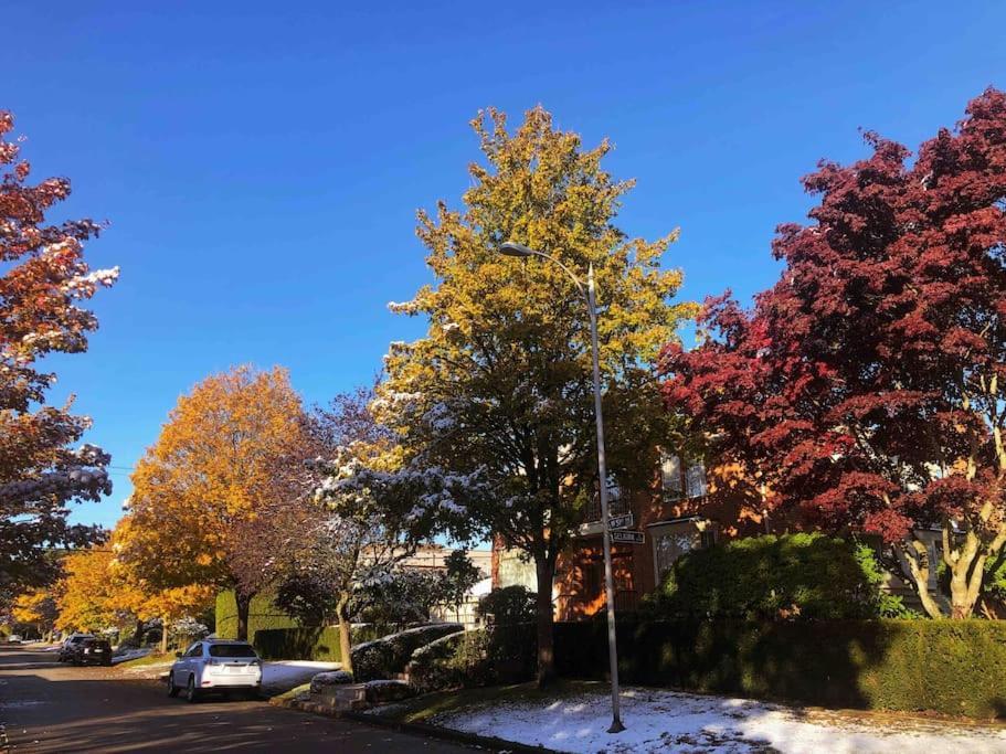 Super Cosy 8bed & 6bath In Heart Near To Airport * Vancouver