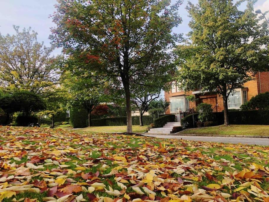 Villa Super Cosy 8bed & 6bath In Heart Near To Airport