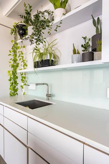 Cozy 1br With Ac, Chinatown, Rogers Arena, Seawall Apartment
