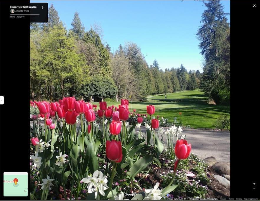 Captivating And Breathtaking In * Vancouver