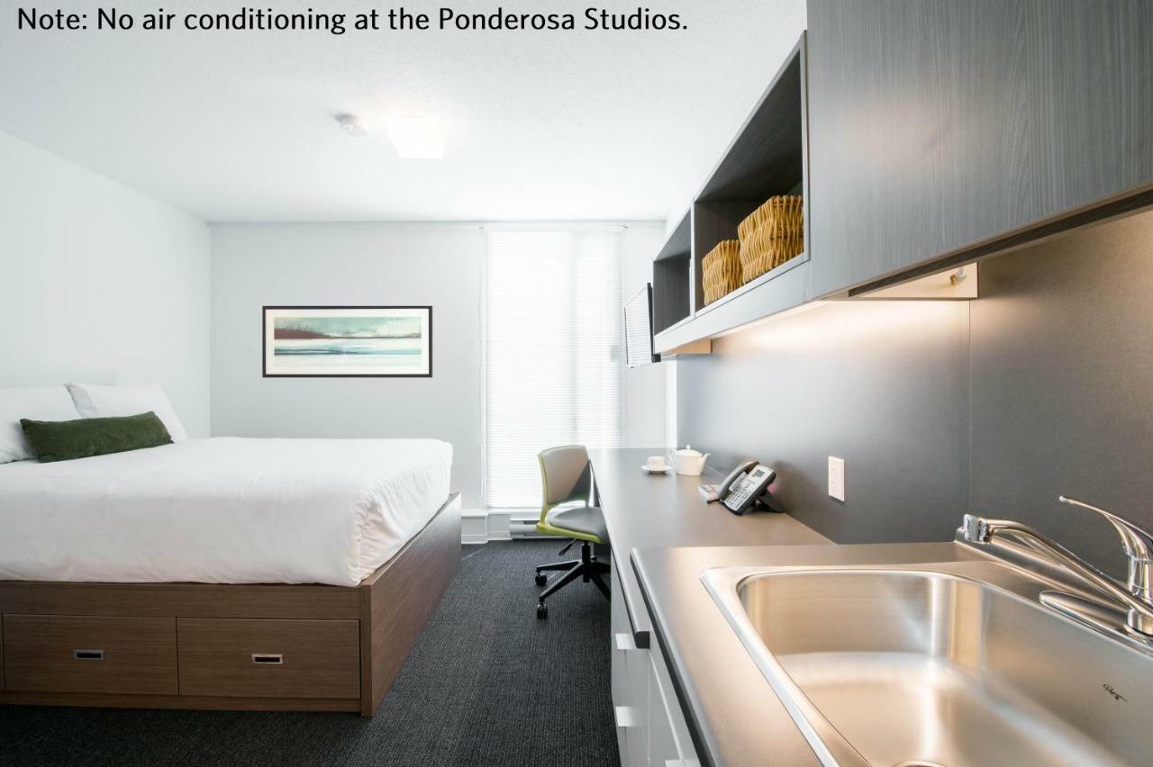 Ponderosa Hotel 3*